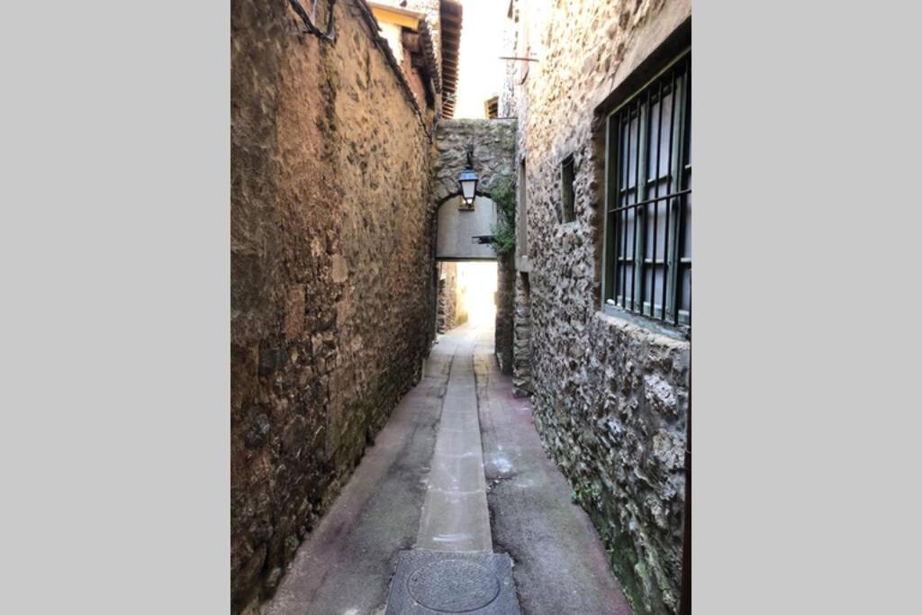 Les Maisons Du Conflent, Maisons Familiales En Pierre Au Coeur Des Remparts Villefranche-de-Conflent Exterior foto